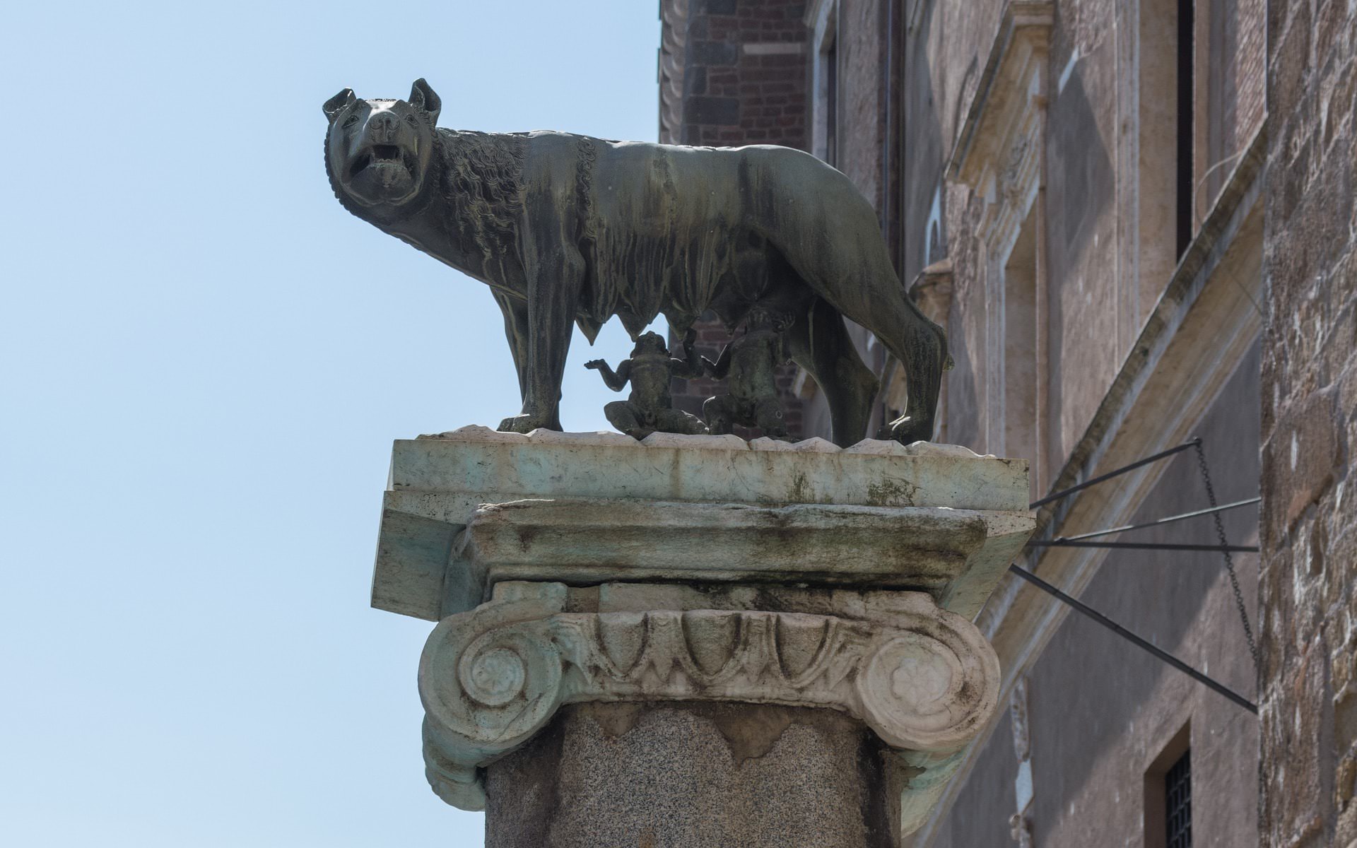 lupa capitolina campidoglio